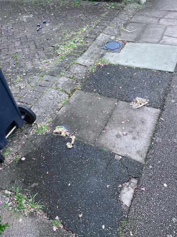 There are two large piles of dog excrement on the street next to our driveway at 39 Hurstbourne Rd-37 Hurstbourne Road, London, SE23 2AA