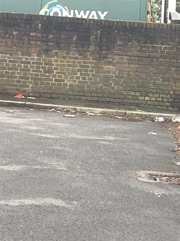Area is neglected. Dead end and so many parks and drops stuff but for weeks no cleansing: -56 Parry Avenue, Beckton, London, E6 5NE