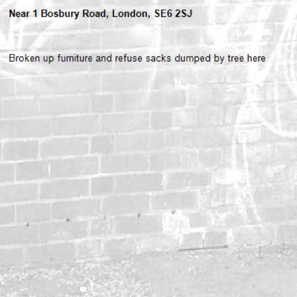 Broken up furniture and refuse sacks dumped by tree here-1 Bosbury Road, London, SE6 2SJ