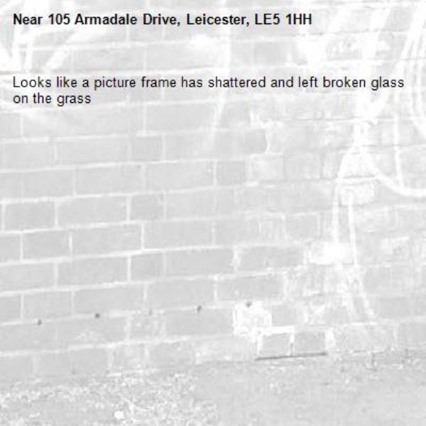 Looks like a picture frame has shattered and left broken glass on the grass-105 Armadale Drive, Leicester, LE5 1HH