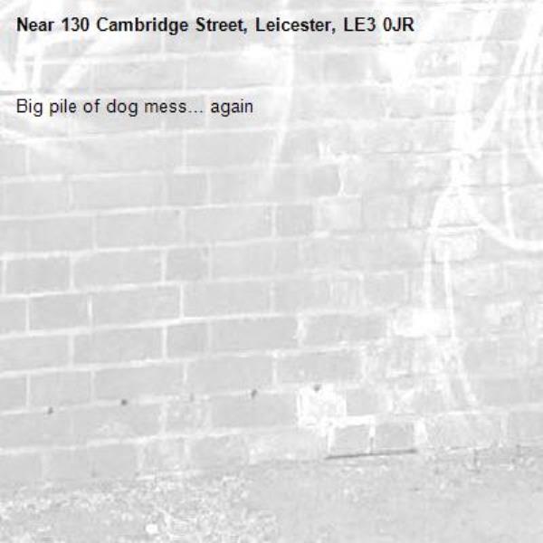 Big pile of dog mess… again-130 Cambridge Street, Leicester, LE3 0JR