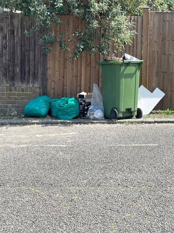 Fly tipping /overflowing bin -27 Littlewood, Hither Green, London, SE13 6SD