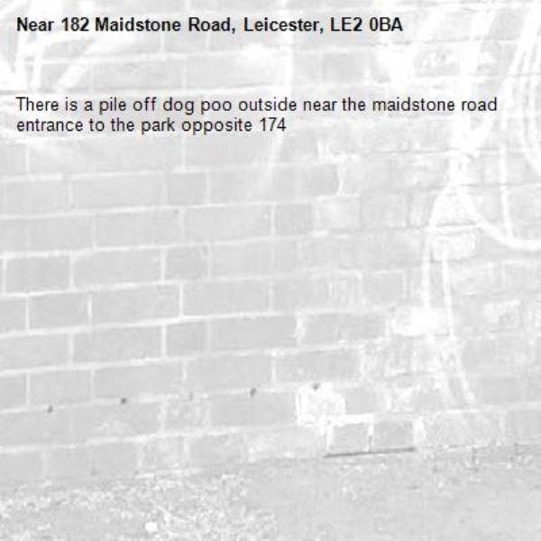 There is a pile off dog poo outside near the maidstone road entrance to the park opposite 174-182 Maidstone Road, Leicester, LE2 0BA