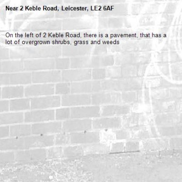 On the left of 2 Keble Road, there is a pavement, that has a lot of overgrown shrubs, grass and weeds -2 Keble Road, Leicester, LE2 6AF