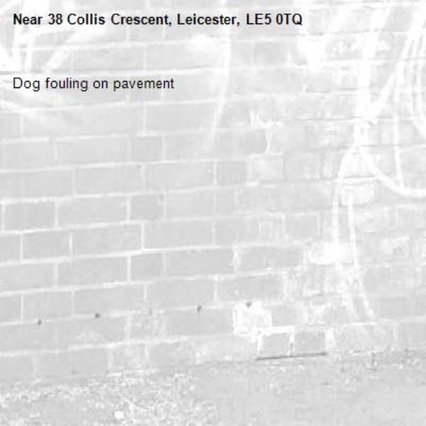 Dog fouling on pavement -38 Collis Crescent, Leicester, LE5 0TQ
