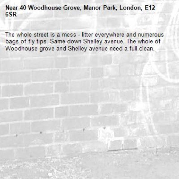 The whole street is a mess - litter everywhere and numerous bags of fly tips. Same down Shelley avenue. The whole of Woodhouse grove and Shelley avenue need a full clean. -40 Woodhouse Grove, Manor Park, London, E12 6SR