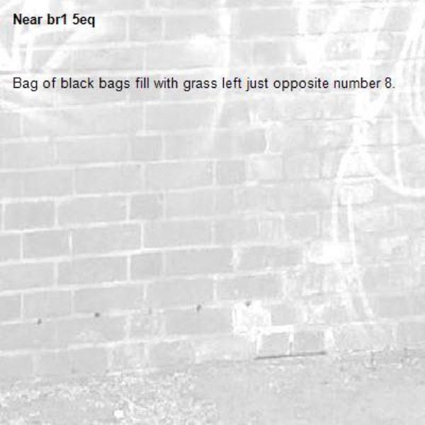 Bag of black bags fill with grass left just opposite number 8.-br1 5eq