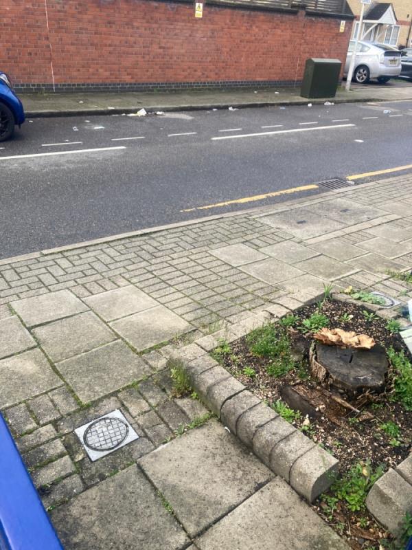 Litter on the street and path -4 Downings, Beckton, London, E6 6WP