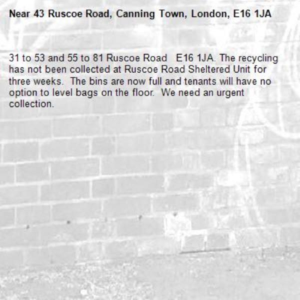 31 to 53 and 55 to 81 Ruscoe Road   E16 1JA. The recycling has not been collected at Ruscoe Road Sheltered Unit for three weeks.  The bins are now full and tenants will have no option to level bags on the floor.  We need an urgent collection. -43 Ruscoe Road, Canning Town, London, E16 1JA