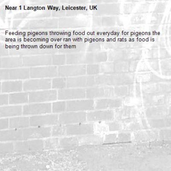Feeding pigeons throwing food out everyday for pigeons the area is becoming over ran with pigeons and rats as food is being thrown down for them -1 Langton Way, Leicester, UK