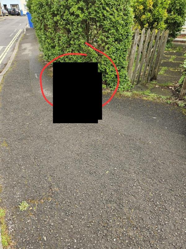 Dog poop on public path. Front of entrance for no. 2 Cunnington Road. Near school-2 Cunnington Road, Farnborough, GU14 6PN