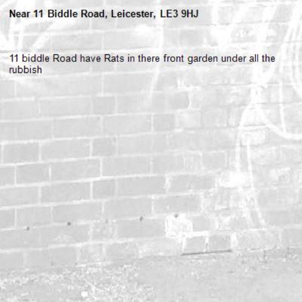 11 biddle Road have Rats in there front garden under all the rubbish -11 Biddle Road, Leicester, LE3 9HJ