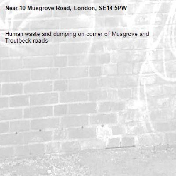 Human waste and dumping on corner of Musgrove and Troutbeck roads-10 Musgrove Road, London, SE14 5PW