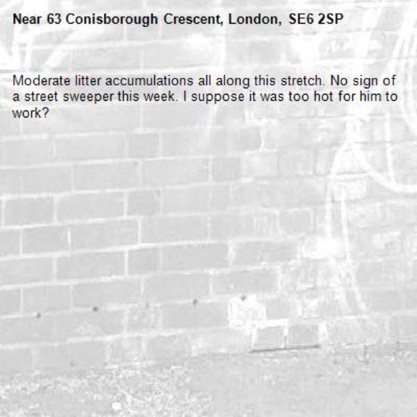 Moderate litter accumulations all along this stretch. No sign of a street sweeper this week. I suppose it was too hot for him to work?-63 Conisborough Crescent, London, SE6 2SP