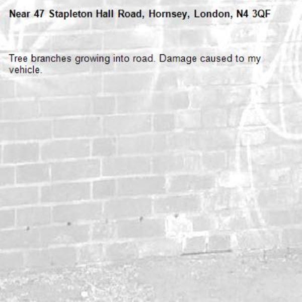 Tree branches growing into road. Damage caused to my vehicle. -47 Stapleton Hall Road, Hornsey, London, N4 3QF