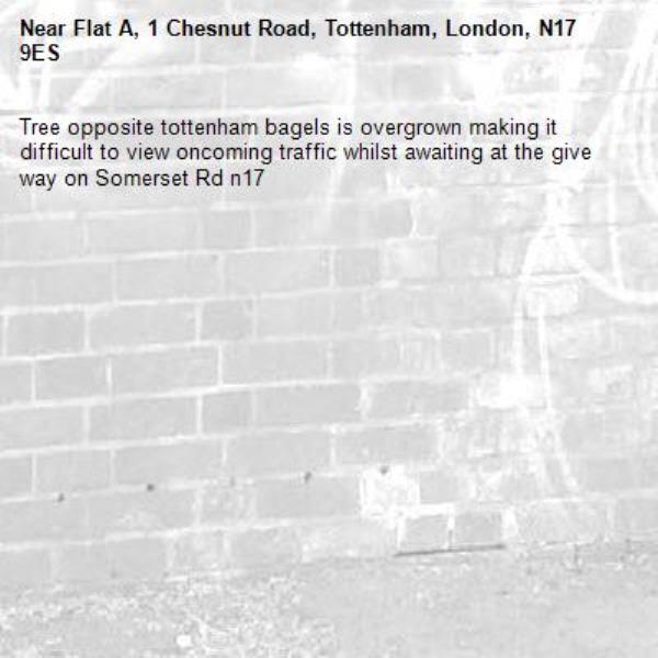 Tree opposite tottenham bagels is overgrown making it difficult to view oncoming traffic whilst awaiting at the give way on Somerset Rd n17-Flat A, 1 Chesnut Road, Tottenham, London, N17 9ES