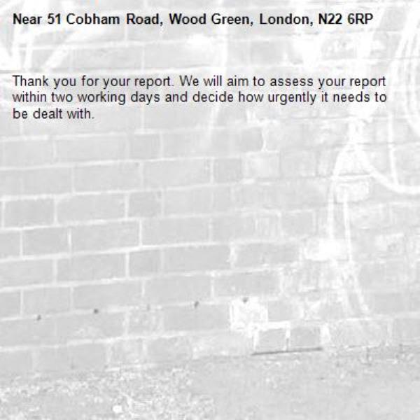 Thank you for your report. We will aim to assess your report within two working days and decide how urgently it needs to be dealt with.-51 Cobham Road, Wood Green, London, N22 6RP
