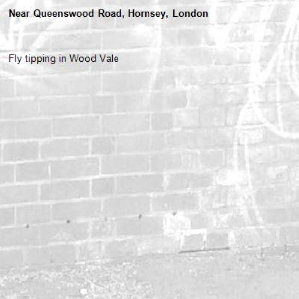 Fly tipping in Wood Vale-Queenswood Road, Hornsey, London