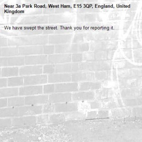 We have swept the street. Thank you for reporting it.-3a Park Road, West Ham, E15 3QP, England, United Kingdom