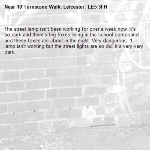 The street lamp isn&#39;t been working for over a week now. It&#39;s so dark and there&#39;s big foxes living in the school compound and these foxes are about in the night. Very dangerous. 1 lamp isn&#39;t working but the street lights are so dull it&#39;s very very dark.-10 Turnstone Walk, Leicester, LE5 3FH
