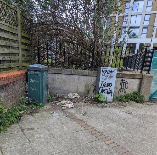 On Silk Mills Path, next to the closed bridge over the river which leads to the building site. Opposite the steps leading into the Tesco car park. There is graffiti on the two metal utility boxes and the wall.-Sharsted Villas, Silk Mills Path, Ladywell, London, SE13 7BG