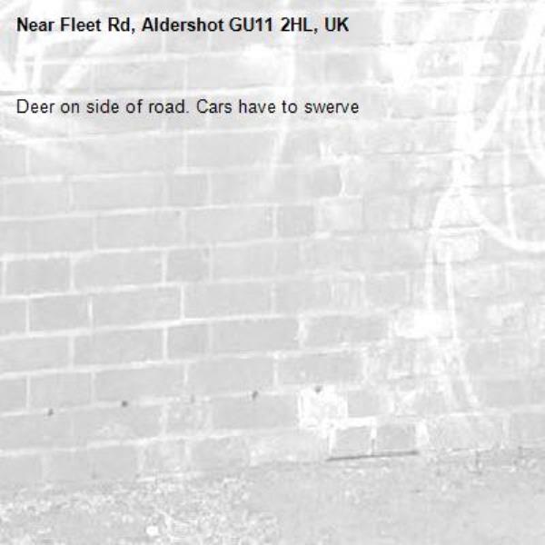 Deer on side of road. Cars have to swerve -Fleet Rd, Aldershot GU11 2HL, UK
