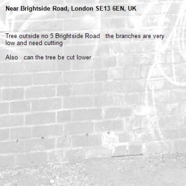 Tree outside no 5 Brightside Road   the branches are very low and need cutting .

Also   can the tree be cut lower .-Brightside Road, London SE13 6EN, UK