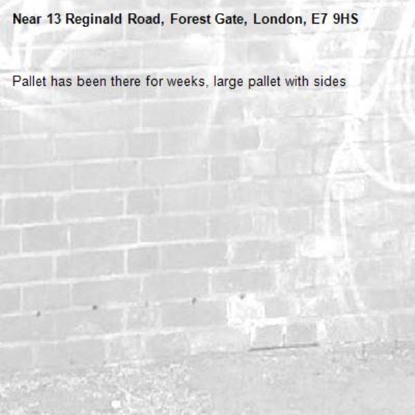 Pallet has been there for weeks, large pallet with sides-13 Reginald Road, Forest Gate, London, E7 9HS