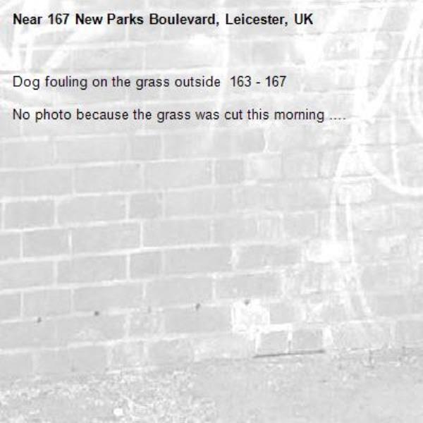 Dog fouling on the grass outside  163 - 167

No photo because the grass was cut this morning ….-167 New Parks Boulevard, Leicester, UK