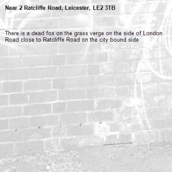 There is a dead fox on the grass verge on the side of London Road close to Ratcliffe Road on the city bound side -2 Ratcliffe Road, Leicester, LE2 3TB