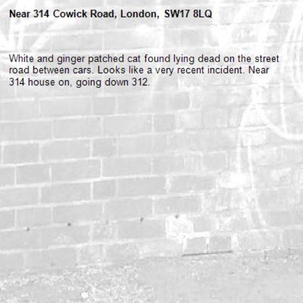 White and ginger patched cat found lying dead on the street road between cars. Looks like a very recent incident. Near 314 house on, going down 312. -314 Cowick Road, London, SW17 8LQ