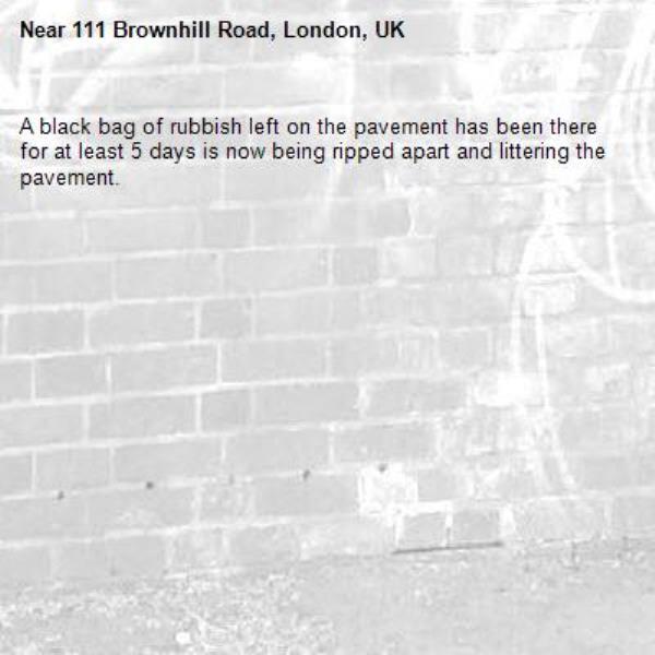 A black bag of rubbish left on the pavement has been there for at least 5 days is now being ripped apart and littering the pavement.-111 Brownhill Road, London, UK