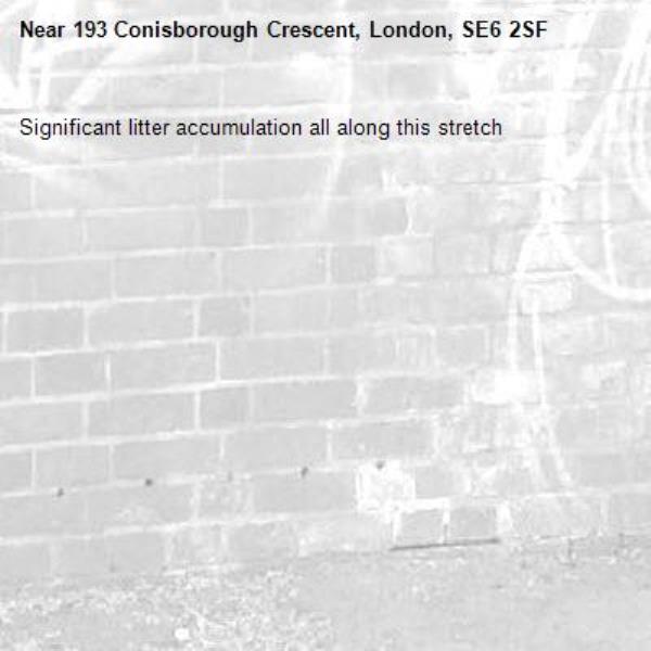 Significant litter accumulation all along this stretch-193 Conisborough Crescent, London, SE6 2SF