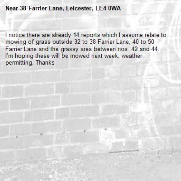 I notice there are already 14 reports which I assume relate to mowing of grass outside 32 to 38 Farrier Lane, 40 to 50 Farrier Lane and the grassy area between nos. 42 and 44.
I'm hoping these will be mowed next week, weather permitting. Thanks-38 Farrier Lane, Leicester, LE4 0WA