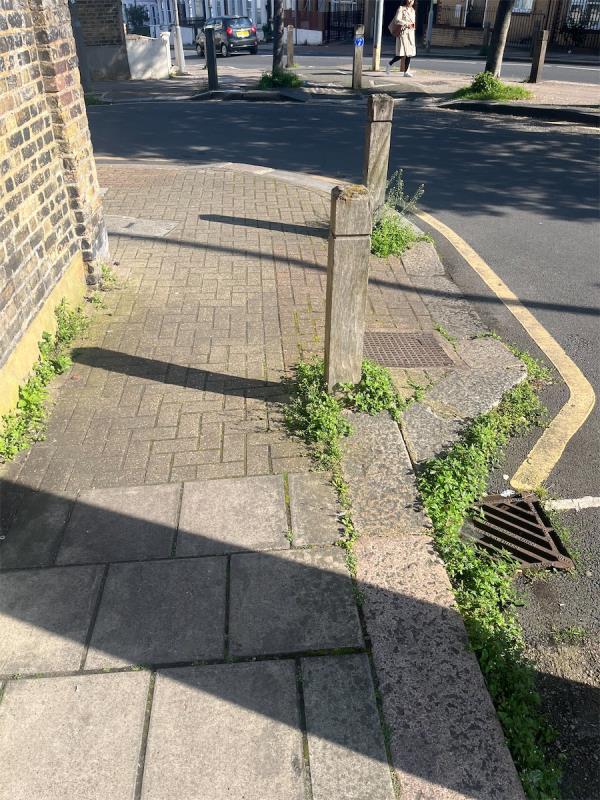 Weeds and grass growing in footpaths. Needs treating / spraying -Plough Terrace, Battersea, London
