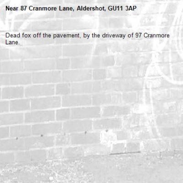Dead fox off the pavement, by the driveway of 97 Cranmore Lane.-87 Cranmore Lane, Aldershot, GU11 3AP