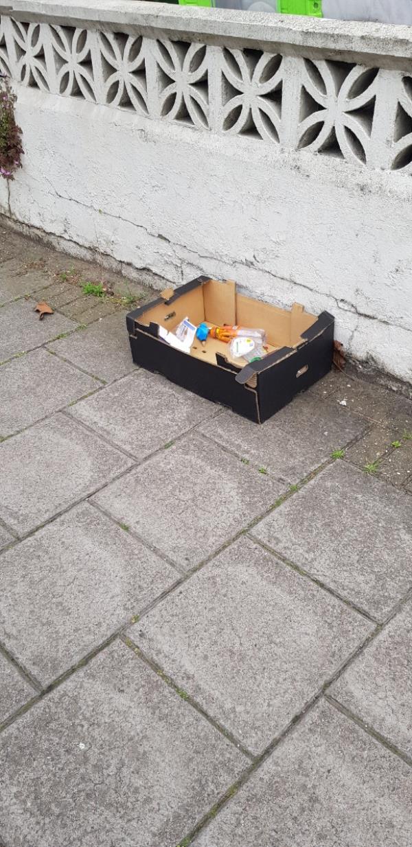 Rubbish dumped outside 97 Derby Road on the pavement..-97 Derby Road, Forest Gate, London, E7 8NH