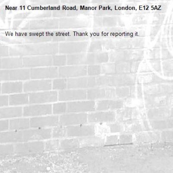 We have swept the street. Thank you for reporting it.-11 Cumberland Road, Manor Park, London, E12 5AZ