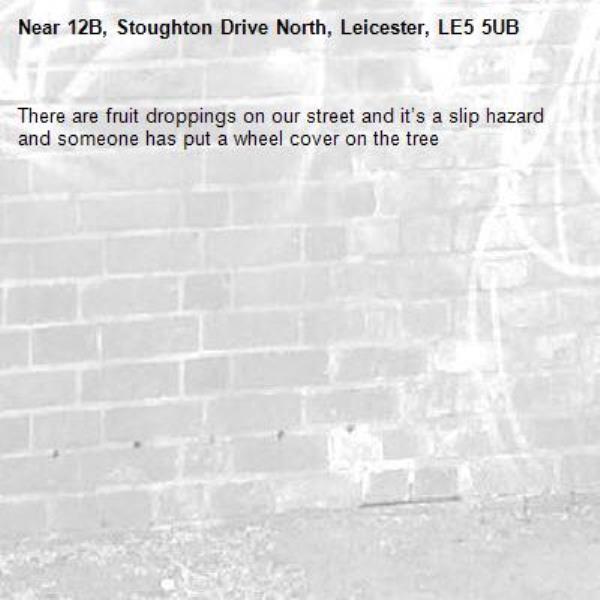 There are fruit droppings on our street and it’s a slip hazard and someone has put a wheel cover on the tree-12B, Stoughton Drive North, Leicester, LE5 5UB