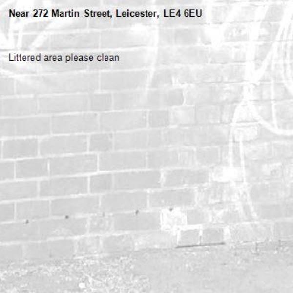 Littered area please clean-272 Martin Street, Leicester, LE4 6EU