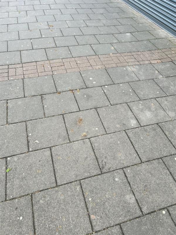 There is still dog fouling outside The Cove building on Barking Road. This is a daily occurrence if it can be washed down as such or enforced so I don’t have to keep walking round it and reporting it. -William Hill, 453B, Barking Road, East Ham, London, E6 2JX