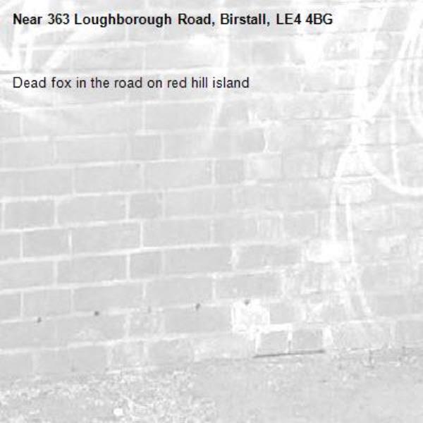 Dead fox in the road on red hill island -363 Loughborough Road, Birstall, LE4 4BG