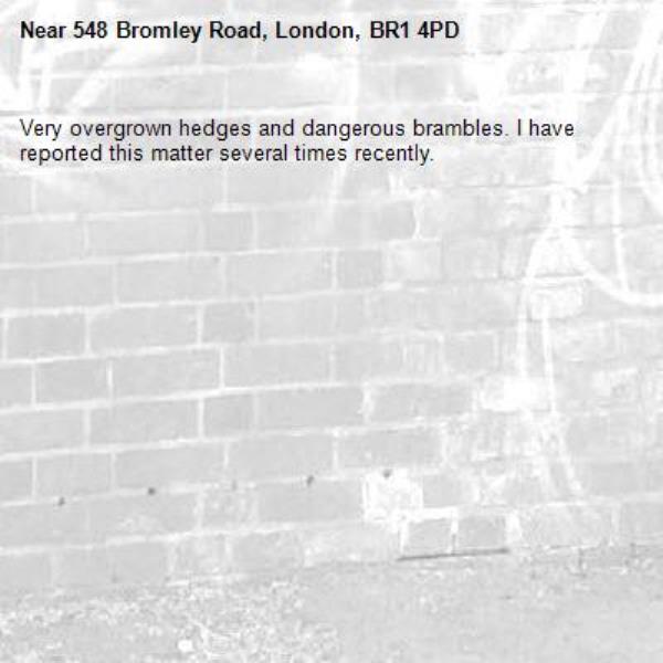 Very overgrown hedges and dangerous brambles. I have reported this matter several times recently. -548 Bromley Road, London, BR1 4PD
