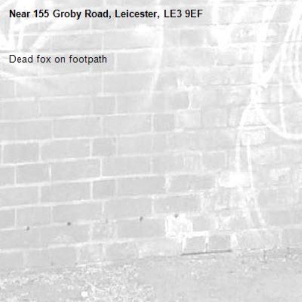 Dead fox on footpath-155 Groby Road, Leicester, LE3 9EF