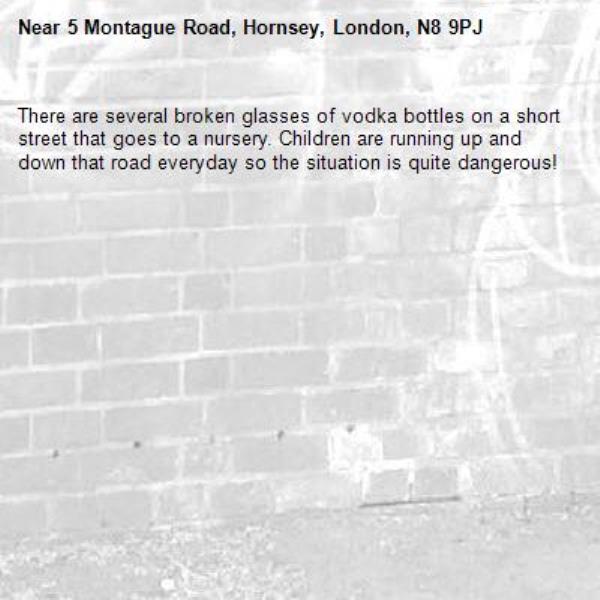 There are several broken glasses of vodka bottles on a short street that goes to a nursery. Children are running up and down that road everyday so the situation is quite dangerous!-5 Montague Road, Hornsey, London, N8 9PJ