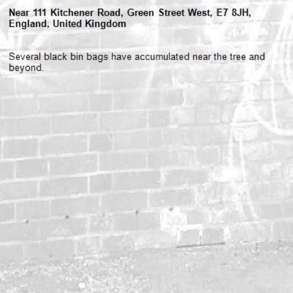 Several black bin bags have accumulated near the tree and beyond.-111 Kitchener Road, Green Street West, E7 8JH, England, United Kingdom