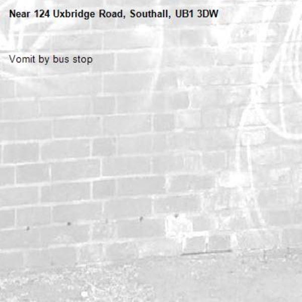 Vomit by bus stop-124 Uxbridge Road, Southall, UB1 3DW