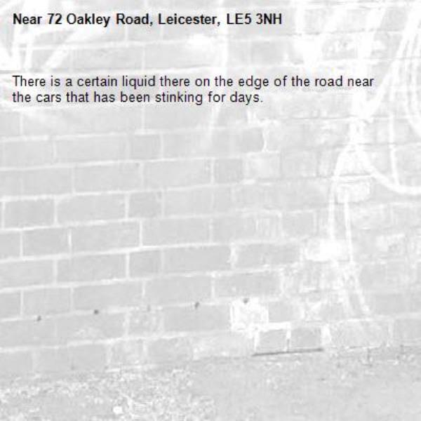 There is a certain liquid there on the edge of the road near the cars that has been stinking for days.-72 Oakley Road, Leicester, LE5 3NH