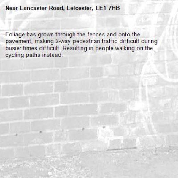 Foliage has grown through the fences and onto the pavement, making 2-way pedestrian traffic difficult during busier times difficult. Resulting in people walking on the cycling paths instead.-Lancaster Road, Leicester, LE1 7HB