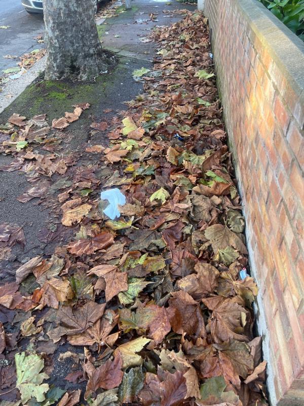 All the Dorset Road people are complaining about the leaves last few weeks no one is cleaned it-21 Dorset Road, Stratford, E7 8PR, England, United Kingdom